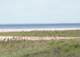n/a Other, South Padre Island, Texas 78597, ,Land,For sale,Other,97075