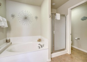 Tub and shower in master bath.