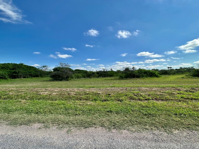 1 Resaca, Bayview, Texas 78566, ,Land,For sale,Resaca,97469