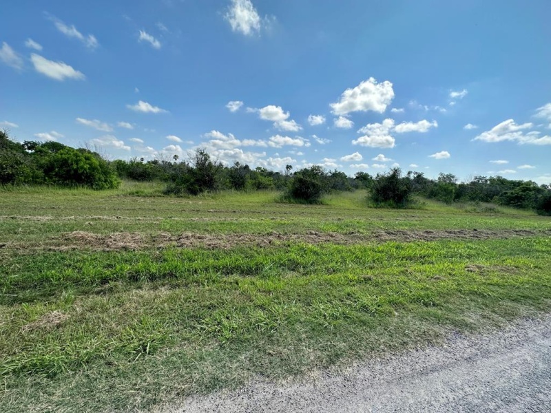 0 Resaca, Bayview, Texas 78566, ,Land,For sale,Resaca,97482