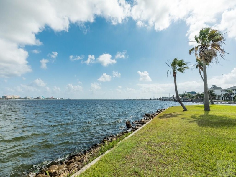 1019 Palm Cove Court, Galveston, Texas 77554, ,Land,For sale,Palm Cove Court,20230590