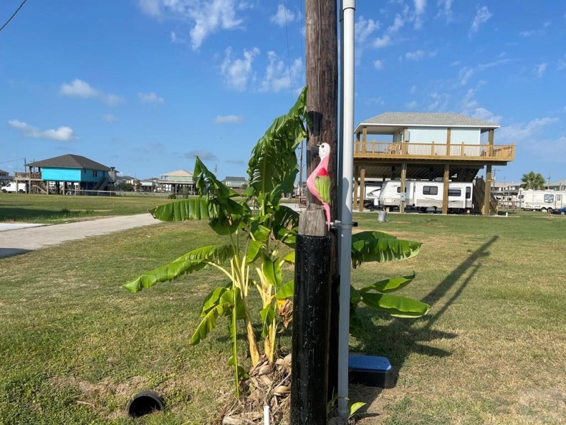 139 S Mae Circle S, Crystal Beach, Texas 77650, ,Land,For sale,Mae Circle S,20230664