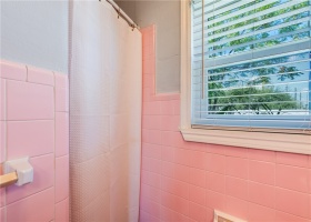 Original 1960's pink tile bathroom