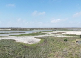 View of wetlands from a second story of Nature Preserve