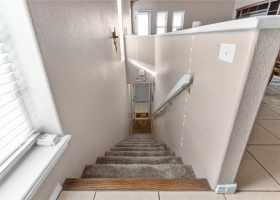 Main Entry-Carpet Stairs
