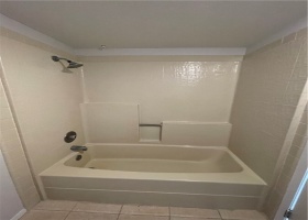 Main bathroom with tub/shower