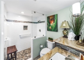 Wide entry to bathroom and easy access shower.