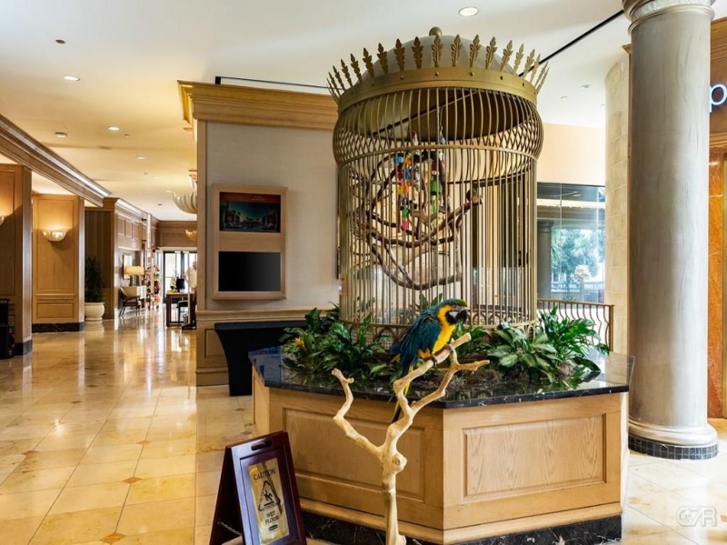 5220 Seawall Blvd, Galveston, Texas 77551, 1 Bedroom Bedrooms, ,1.5 BathroomBathrooms,Condo,For sale,San Luis,Seawall Blvd,0,20231812