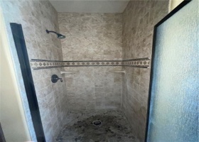 Walk-in shower in main bath